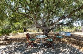 Ria Formosa 3 Bed Mediterranean Villa with Mature Garden near Tavira Ria Formosa 3 Bed Mediterranean Villa with Mature Garden near Tavira