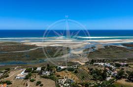 Ria Formosa 3 Bed Mediterranean Villa with Mature Garden near Tavira Ria Formosa 3 Bed Mediterranean Villa with Mature Garden near Tavira
