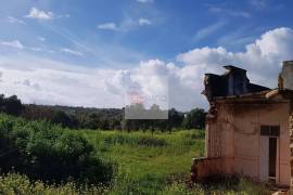 Large flat plot whith lots of possibilities