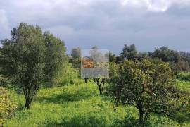 Large flat plot whith lots of possibilities Large flat plot whith lots of possibilities