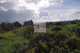Large flat plot whith lots of possibilities Large flat plot whith lots of possibilities