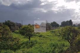 Large flat plot whith lots of possibilities Large flat plot whith lots of possibilities