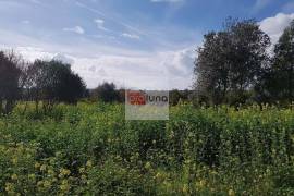 Large flat plot whith lots of possibilities Large flat plot whith lots of possibilities