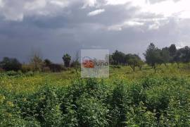 Large flat plot whith lots of possibilities Large flat plot whith lots of possibilities