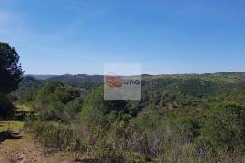 Very large hunting estate with several buildings and a main house Very large hunting estate with several buildings and a main house