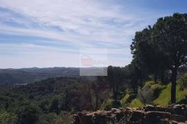 Very large hunting estate with several buildings and a main house Very large hunting estate with several buildings and a main house