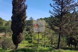 Very large hunting estate with several buildings and a main house Very large hunting estate with several buildings and a main house