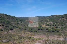Very large hunting estate with several buildings and a main house Very large hunting estate with several buildings and a main house