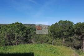 Very large hunting estate with several buildings and a main house Very large hunting estate with several buildings and a main house