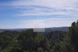 Very large hunting estate with several buildings and a main house Very large hunting estate with several buildings and a main house
