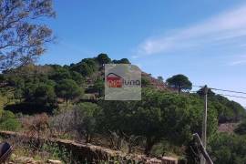 Very large hunting estate with several buildings and a main house Very large hunting estate with several buildings and a main house