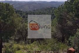 Very large hunting estate with several buildings and a main house Very large hunting estate with several buildings and a main house