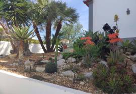 Large villa with a heated pool and mature Mediterranian garden, situated on a popular urbanization of Cerro Azul Large villa with a heated pool and mature Mediterranian garden, situated on a popular urbanization of Cerro Azul