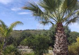 Large villa with a heated pool and mature Mediterranian garden, situated on a popular urbanization of Cerro Azul Large villa with a heated pool and mature Mediterranian garden, situated on a popular urbanization of Cerro Azul