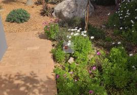 Large villa with a heated pool and mature Mediterranian garden, situated on a popular urbanization of Cerro Azul Large villa with a heated pool and mature Mediterranian garden, situated on a popular urbanization of Cerro Azul