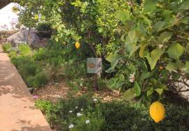 Large villa with a heated pool and mature Mediterranian garden, situated on a popular urbanization of Cerro Azul Large villa with a heated pool and mature Mediterranian garden, situated on a popular urbanization of Cerro Azul