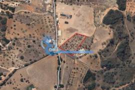 Rustic Land with Excellent Access in the Almond Area, Guia