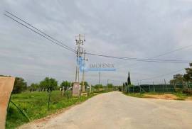 Rustic Land with Excellent Access in the Almond Area, Guia Rustic Land with Excellent Access in the Almond Area, Guia