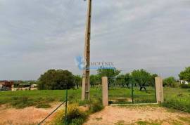 Rustic Land with Excellent Access in the Almond Area, Guia Rustic Land with Excellent Access in the Almond Area, Guia