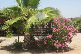 Property next to the Alqueva Dam