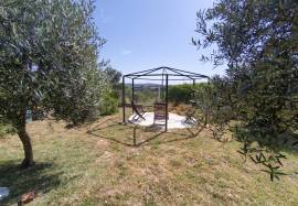 Well-Presented Detached House | 1,200m2 Plot | 30 Minutes from Lisbon Well-Presented Detached House | 1,200m2 Plot | 30 Minutes from Lisbon