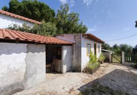 Well-Presented Detached House | 1,200m2 Plot | 30 Minutes from Lisbon Well-Presented Detached House | 1,200m2 Plot | 30 Minutes from Lisbon