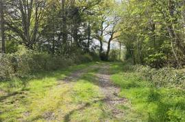 For Sale - Secluded Country Home 1Ha of Land - Chaillac - 36 For Sale - Secluded Country Home 1Ha of Land - Chaillac - 36