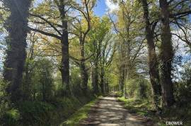 For Sale - Secluded Country Home 1Ha of Land - Chaillac - 36 For Sale - Secluded Country Home 1Ha of Land - Chaillac - 36