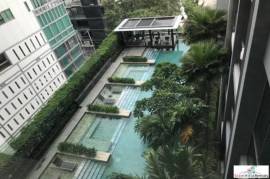 Quattro by Sansiri - One Bedroom Condo for on Sukhumvit 55 with Lush Pool and Garden Views