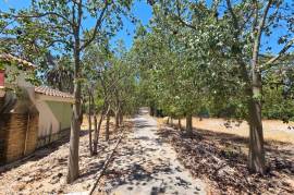 listing listing