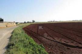 Agricultural field in Avgorou