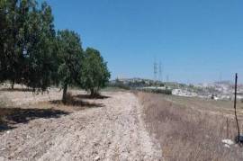Agricultural Field for Sale in Aradippou area, Larnaca