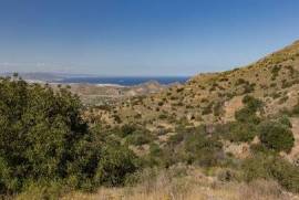 Exceptional Property with Sea Views, Water and Ruins in the Cabrera foothills of Mojacar