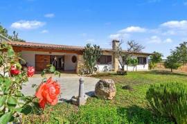 Vigneto, Cantina e Agriturismo in vendita – Alghero – Sardegna