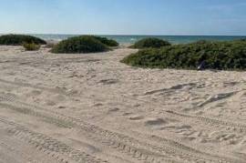 Apartment for sale in Chuburna Mexico