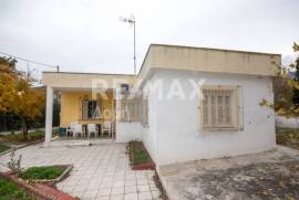 House 90 sq.m for sale House 90 sq.m for sale