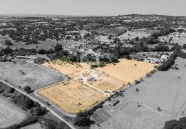 23,000 sqm Farmhouse w/ Renovated 3 Bedroom Villa, Pool and Olive Grove | Bacelo, Évora