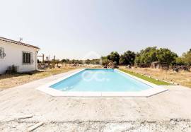 23,000 sqm Farmhouse w/ Renovated 3 Bedroom Villa, Pool and Olive Grove | Bacelo, Évora