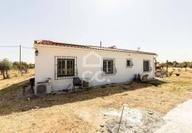 23,000 sqm Farmhouse w/ Renovated 3 Bedroom Villa, Pool and Olive Grove | Bacelo, Évora