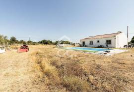 23,000 sqm Farmhouse w/ Renovated 3 Bedroom Villa, Pool and Olive Grove | Bacelo, Évora