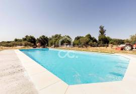 23,000 sqm Farmhouse w/ Renovated 3 Bedroom Villa, Pool and Olive Grove | Bacelo, Évora