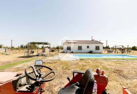23,000 sqm Farmhouse w/ Renovated 3 Bedroom Villa, Pool and Olive Grove | Bacelo, Évora