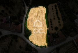 Land with feasibility of construction in Avelar. Land with feasibility of construction in Avelar.