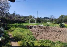 Farmhouse Penafiel Termas de S. Vicente