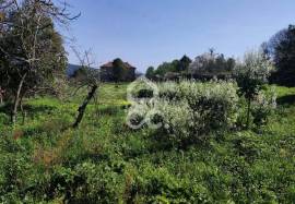 Farmhouse Penafiel Termas de S. Vicente
