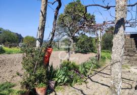Farmhouse Penafiel Termas de S. Vicente