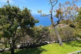 Rustic Enchanting Home with Ocean Views – Madeira Island