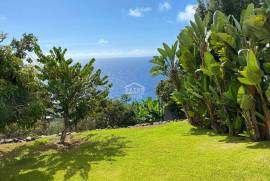 Rustic Enchanting Home with Ocean Views – Madeira Island