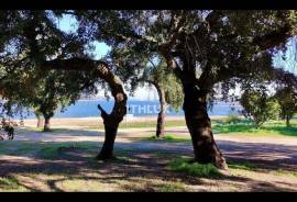 MIXED OWNERSHIP | ~11 ha | GALVEIAS – ALTO ALENTEJO _ Existing housing | Own water | Cork oak forest | Architecture study concluded.