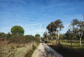 MIXED OWNERSHIP | ~11 ha | GALVEIAS – ALTO ALENTEJO _ Existing housing | Own water | Cork oak forest | Architecture study concluded.